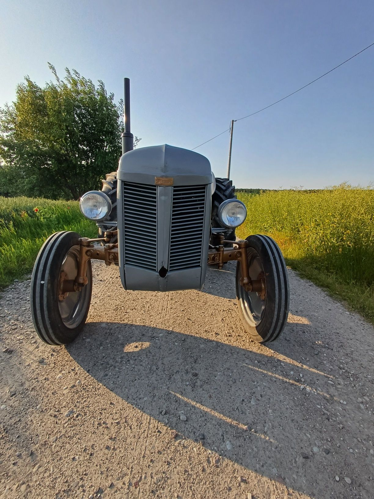 Massey ferguson TEA 20