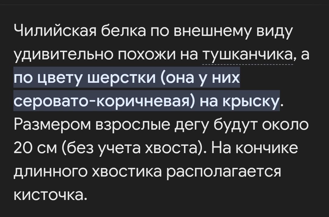 Примем в дар разные полезности для Чилийских белок дегу.