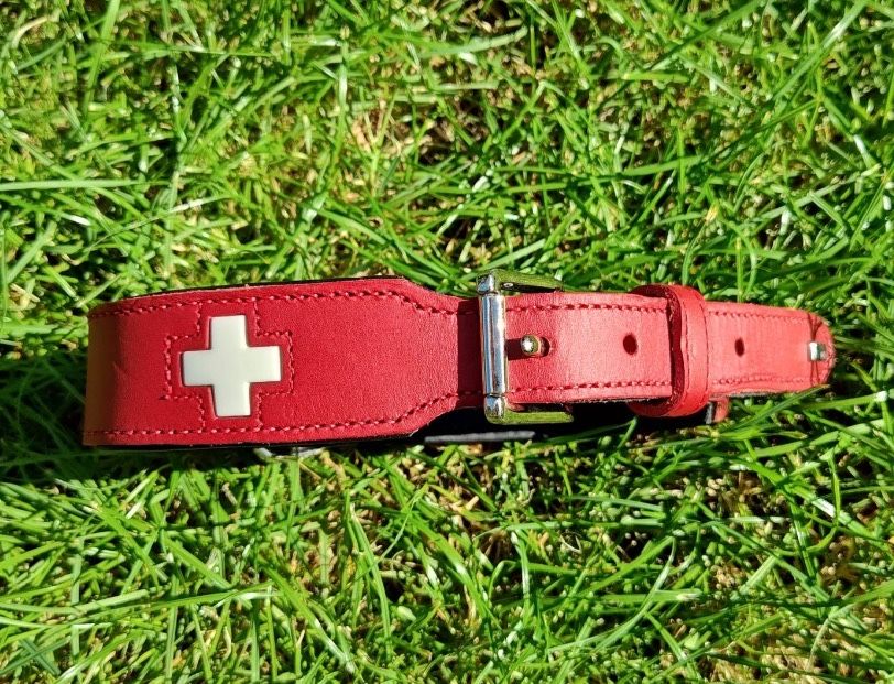 Obroża Hunter Swiss