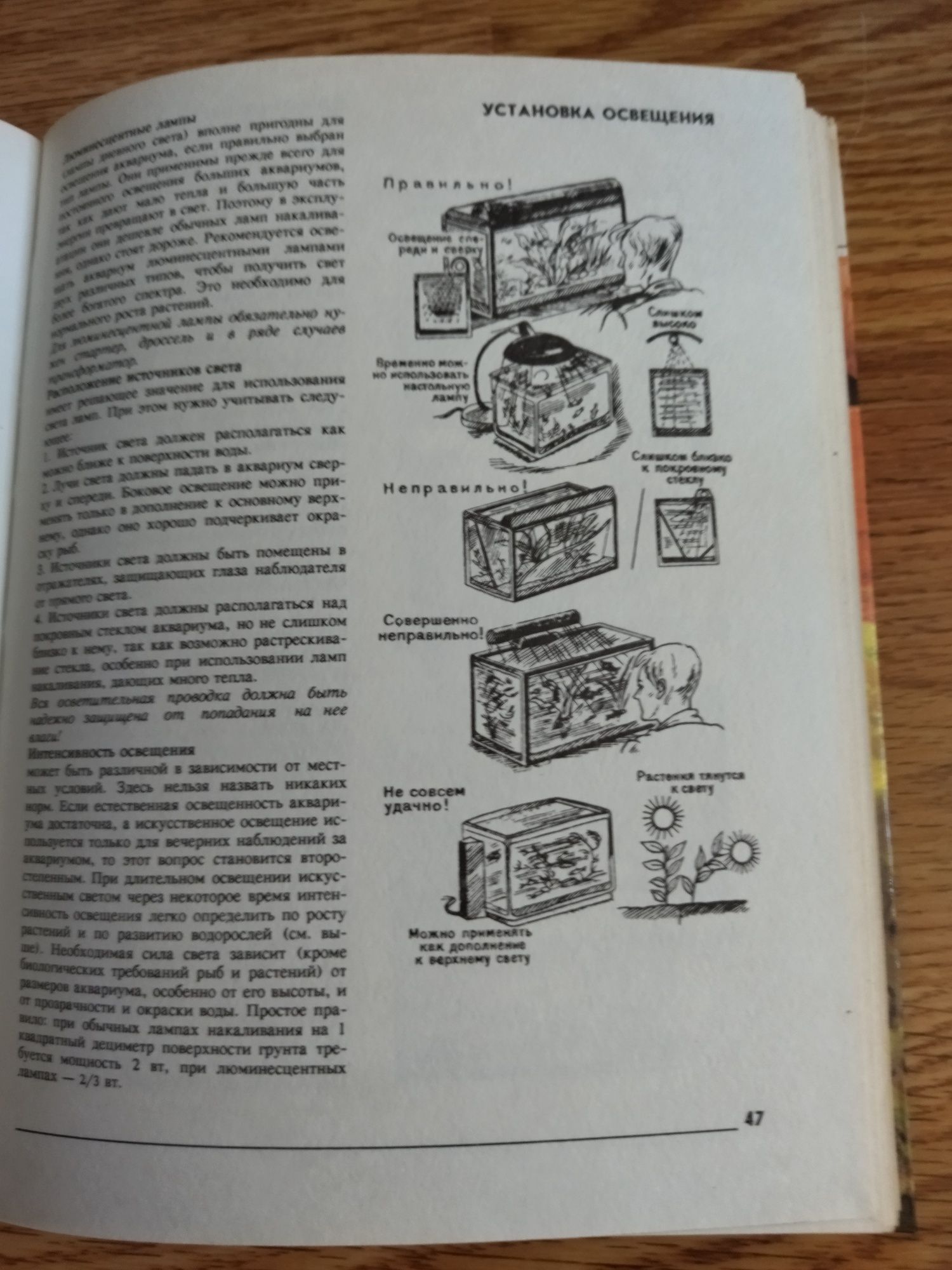 Книга Твой аквариум.