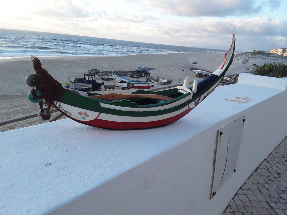 Barco de pesca (arte xavega) artesanal