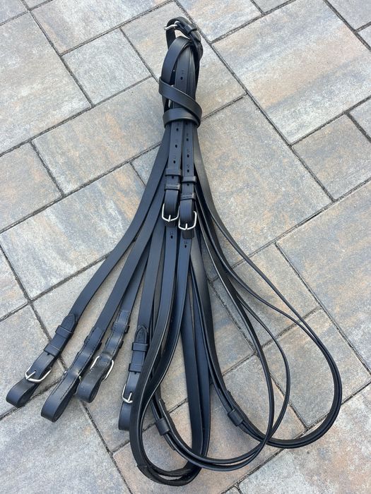 Wyjazdowe lejce parokonne