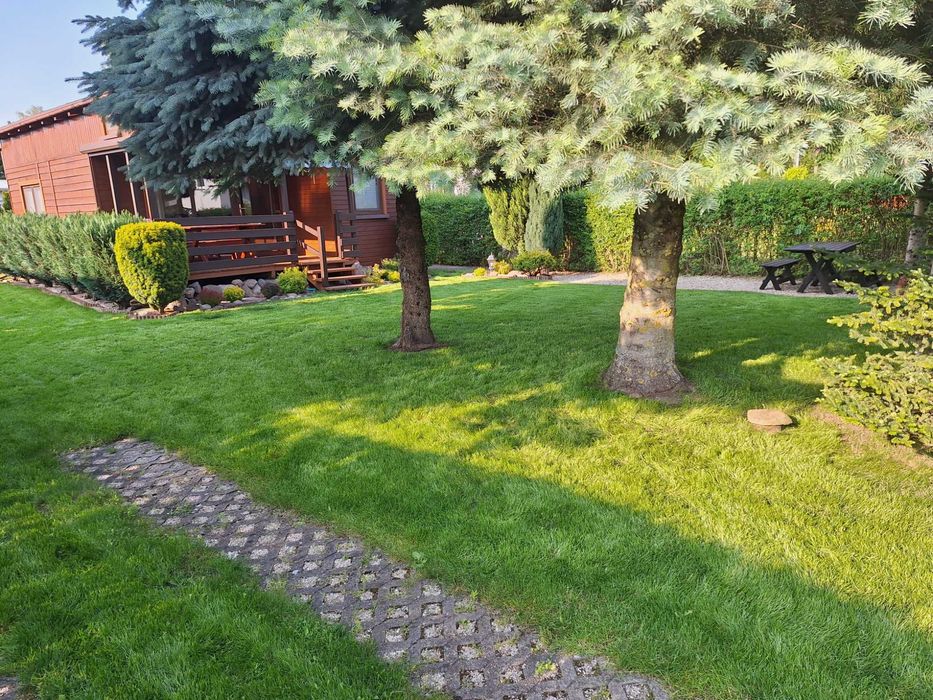 Działka ROD Wudzyn Północ