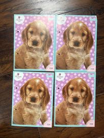 4 karteczki do segregatora pies dog