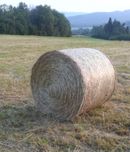 Siano Sloma w balach bele bale baloty własny transport z pod dachu