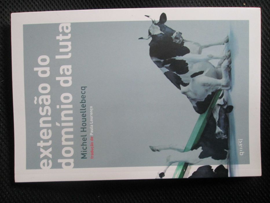 Extensão do domínio da luta, de Michel Houellebecq, novo