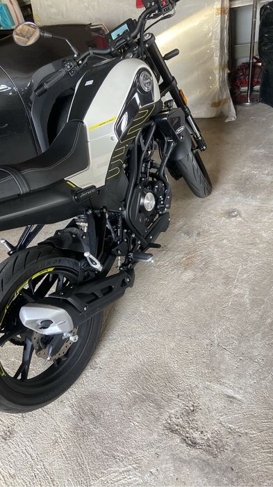 Benelli leomcino 2025