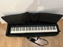 Roland FP-10 + Cover + Pedal + Bag
