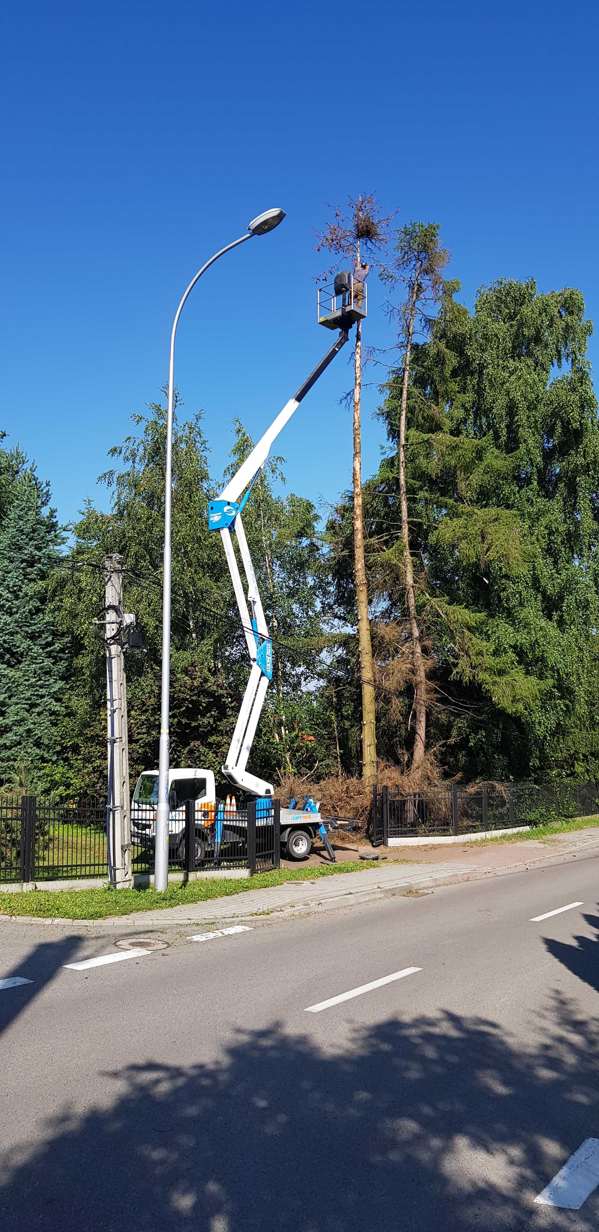 Wycinka drzew i krzewów, frezowanie pni, rębak, mulczer