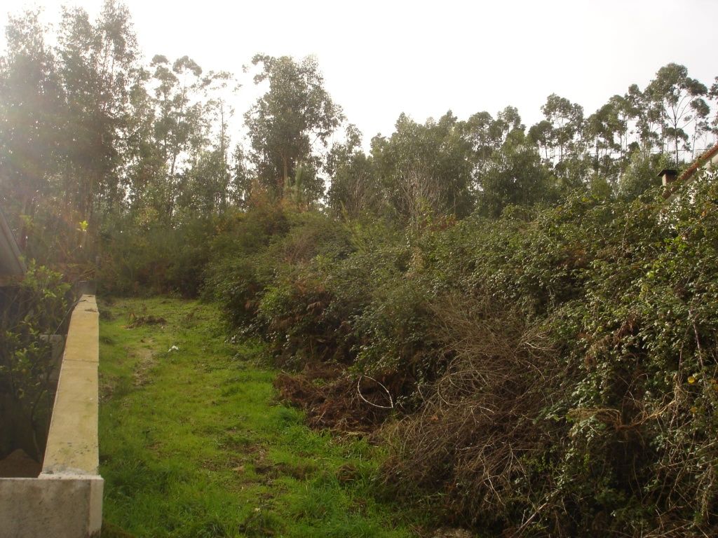 Terreno para construção em boa zona