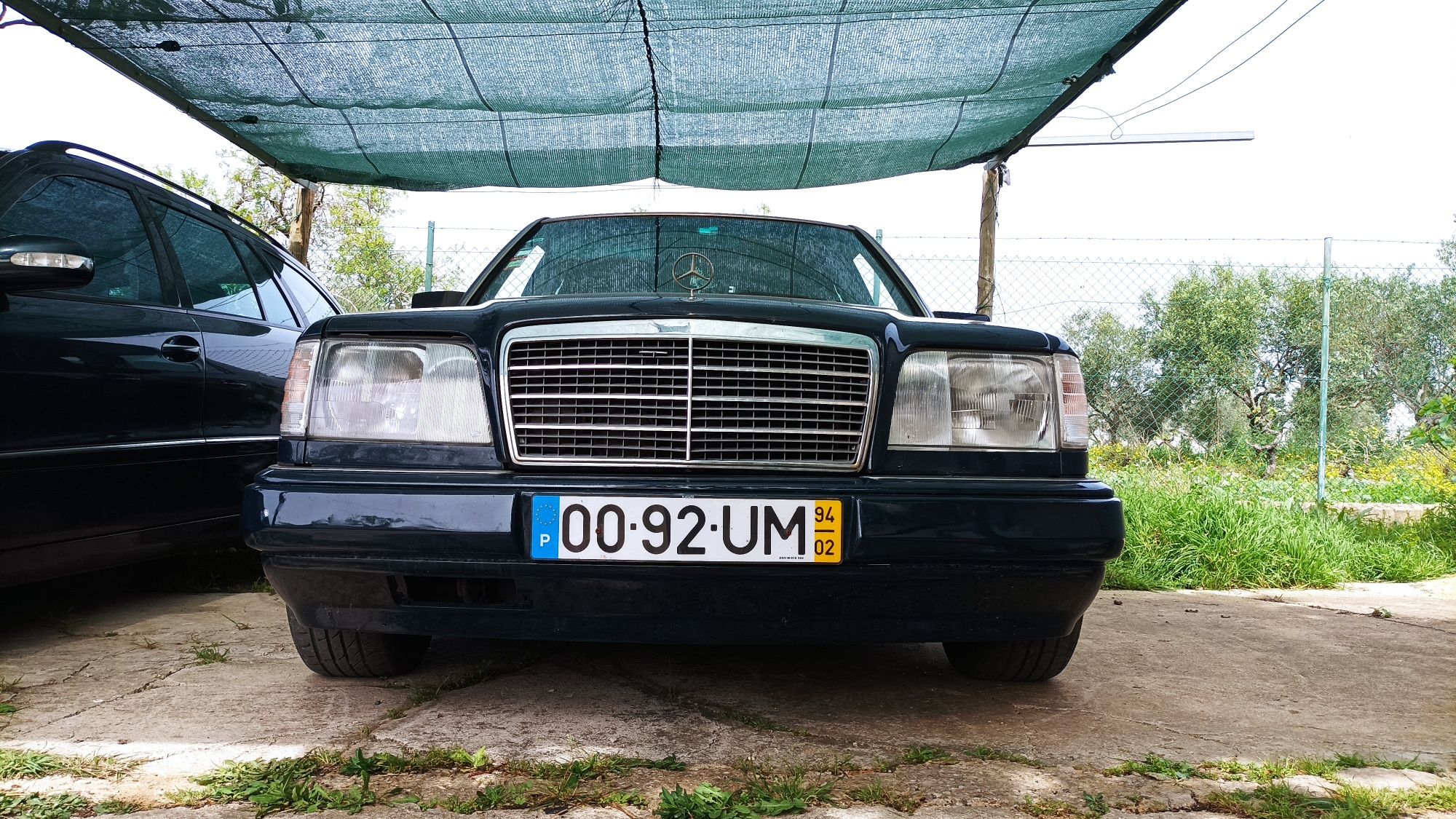 Mercedes W124 E250 Diesel Multiválvulas 1994