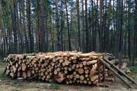 Реалізація дров різних видів