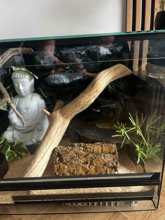Terrarium z lokatorem