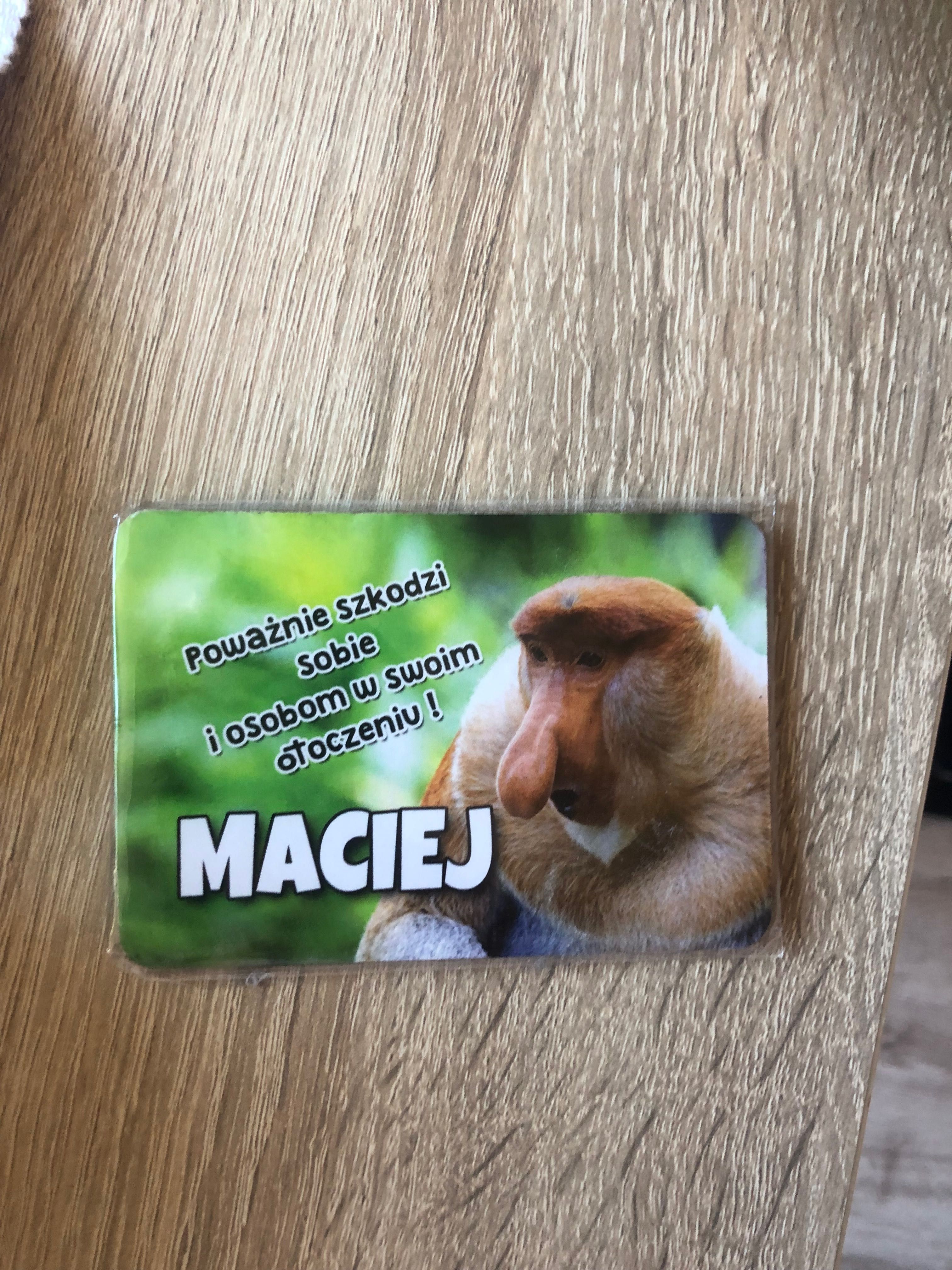 Śmieszny magnes Maciej nosacz