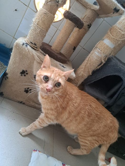 Mais fofinha é impossível!