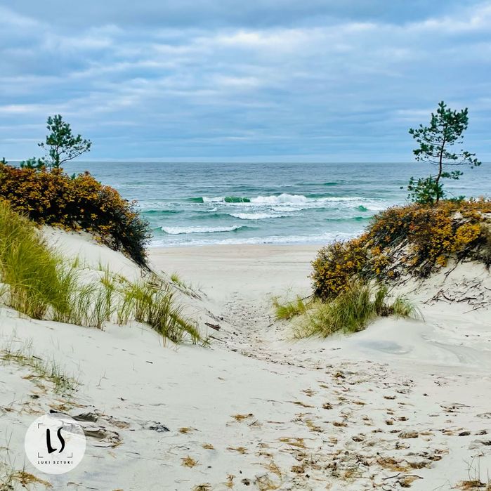 Driftwood | wieszak na morskiej desce | LUKI SZTUKI wysyłka GRATIS