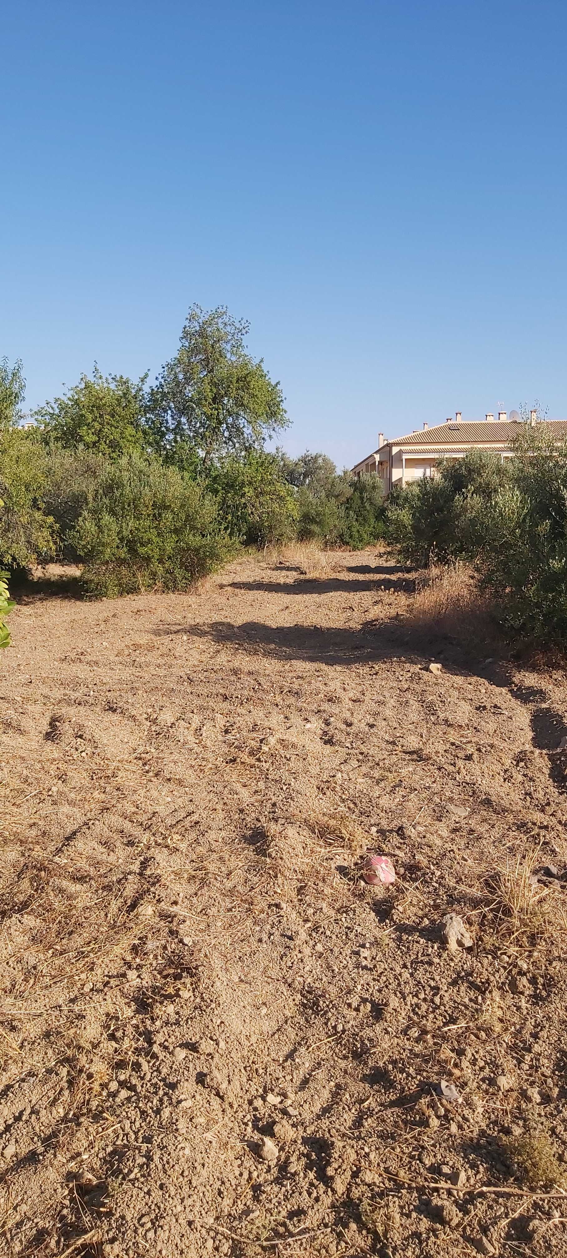 Oportunidade para passatempo de Agricultura no centro de S. Brás