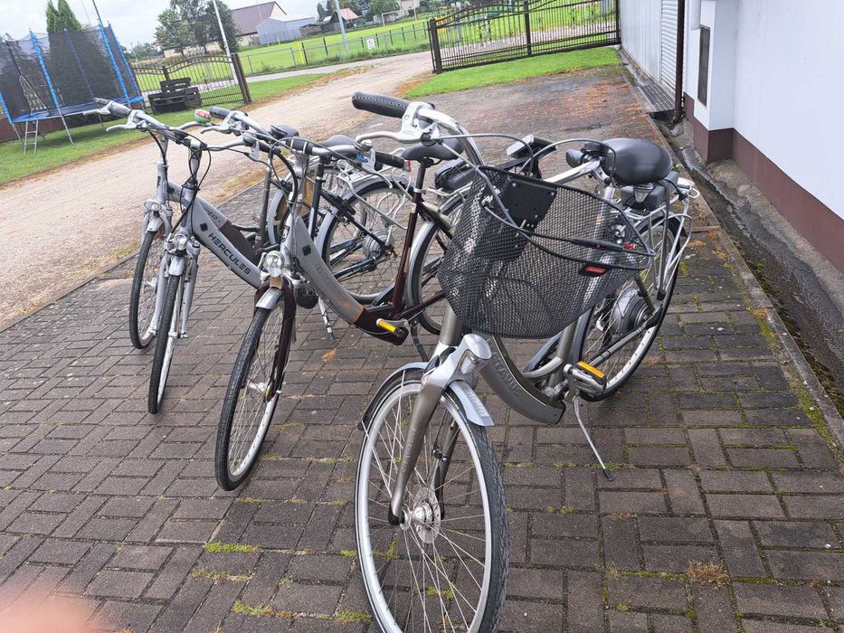 Rowery z wspomaganiem elektrycznym Batavus, Sparta, Helcules