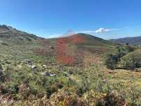 Terreno Florestal, Valdreu