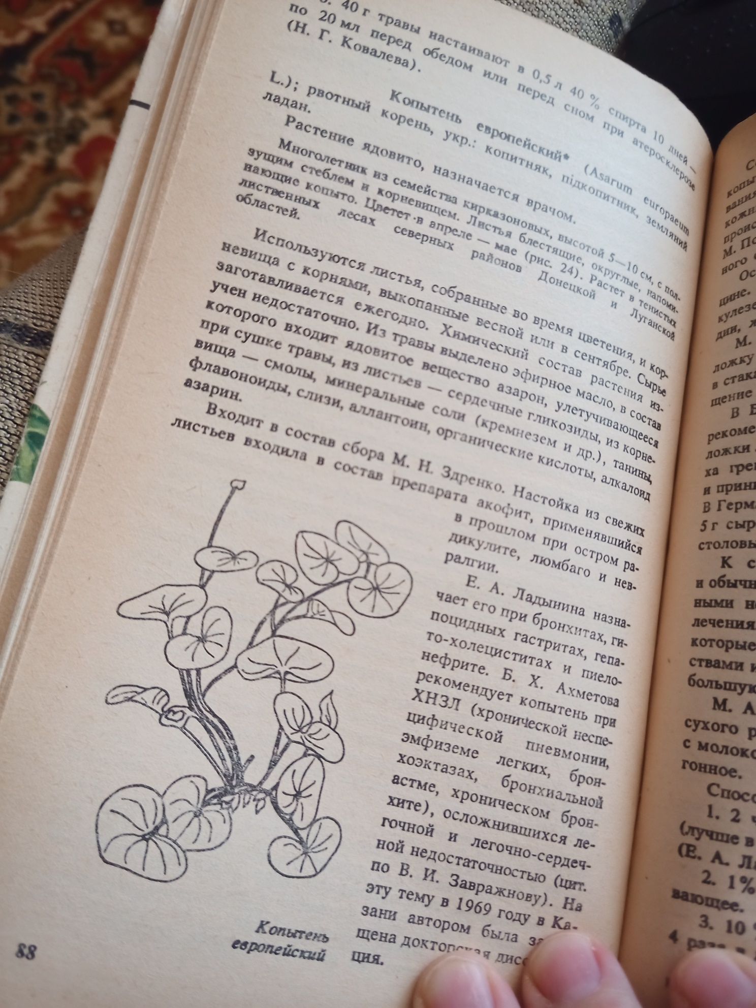 Лекарственные растения Донбасса.