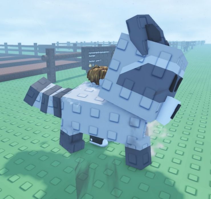 Roblox / Гров е гарден / Енот / Ракун