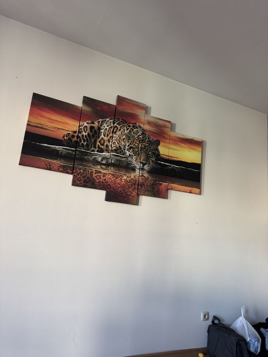 Obraz 5 czesciowy tygrys