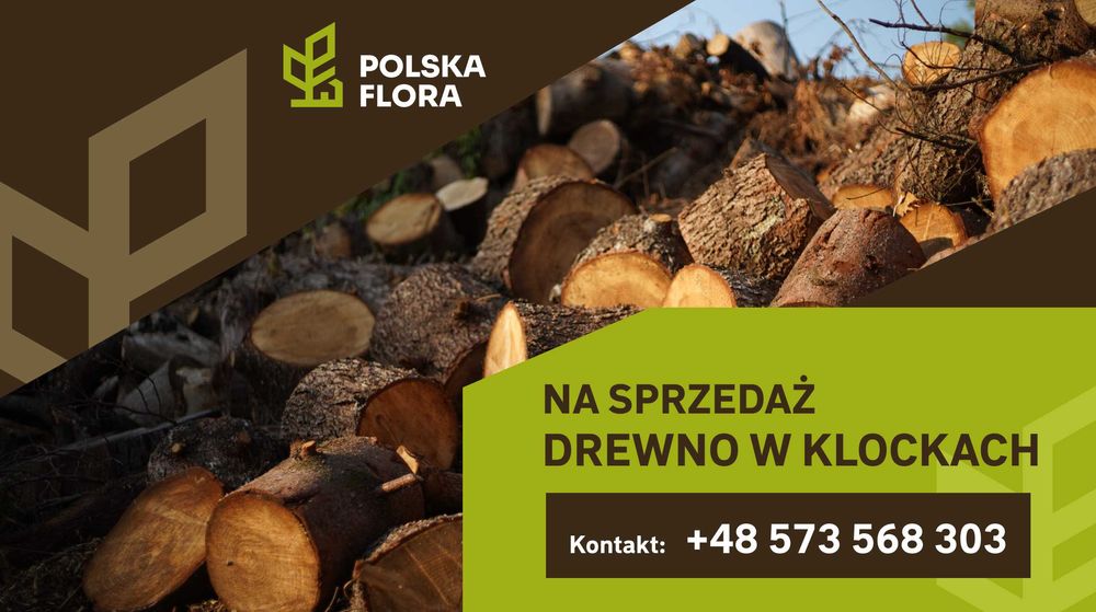 Drewno opałowe, kominkowe, iglaste, liściaste