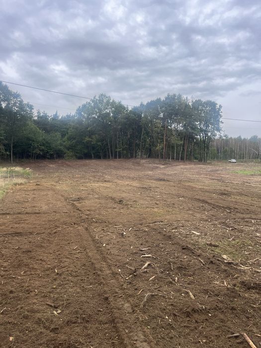 Mulczowanie usuwanie zakrzaczen samosiejek wycinka drzew czyszczenie