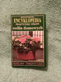 Kieszonkowa Encyklopedia praktycznej uprawy roślin domowych