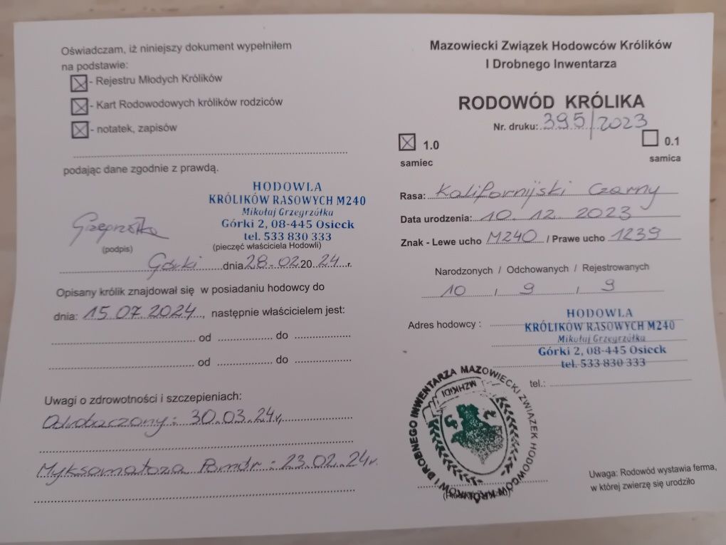 Sprzedam króliki kalifornijskie