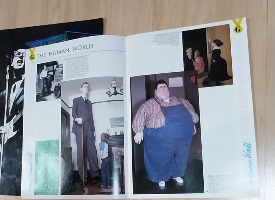 The Buddy Holly Story e Guiness World Records