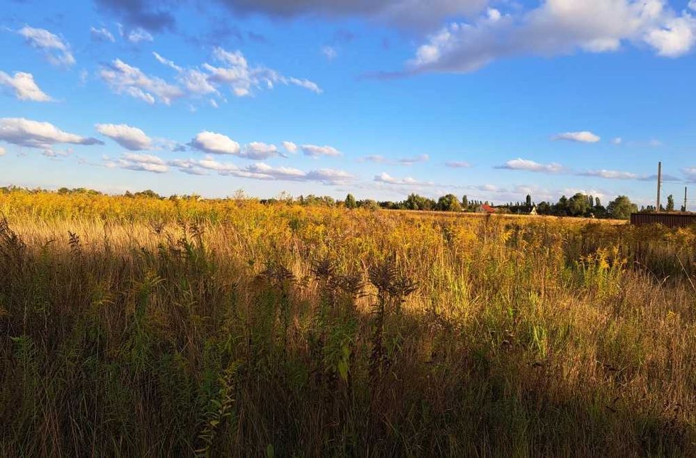 Продам землю під  житлове будівництво, с. Кучаків, Бориспільський р-н.