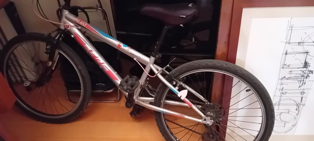 Bicicleta berg criança