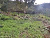 Terreno a venda em Feriria , Torres vedras