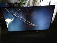 Telewizor Toshiba Model 55V5863DG