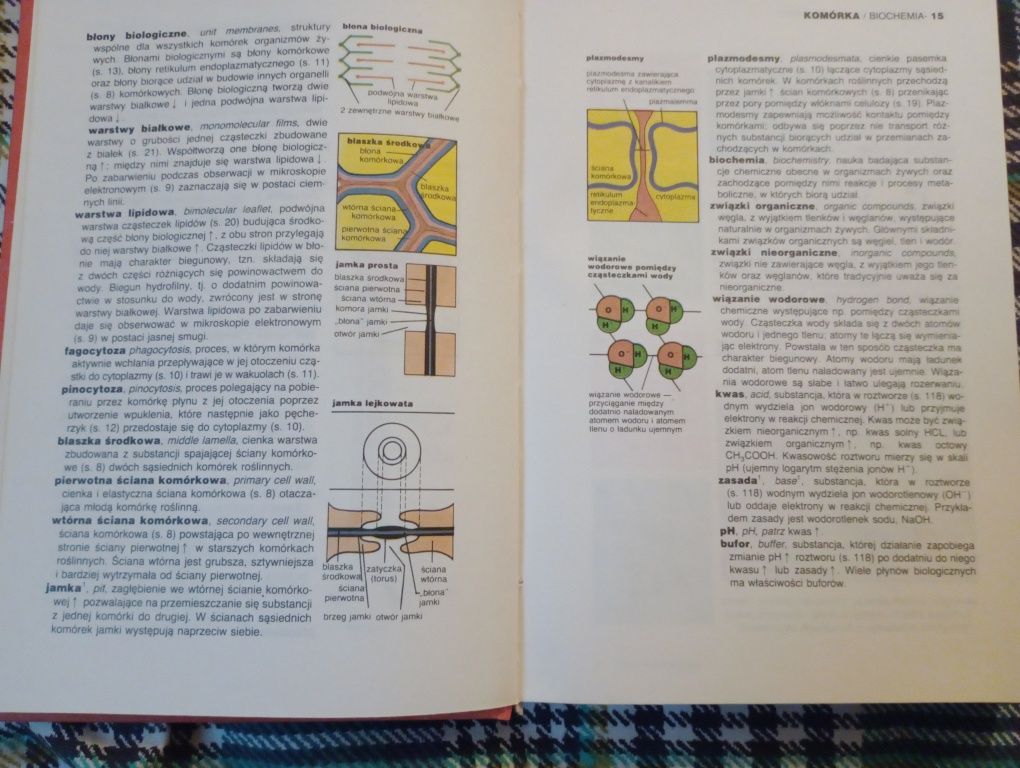 "Ilustrowany słownik biologiczny"