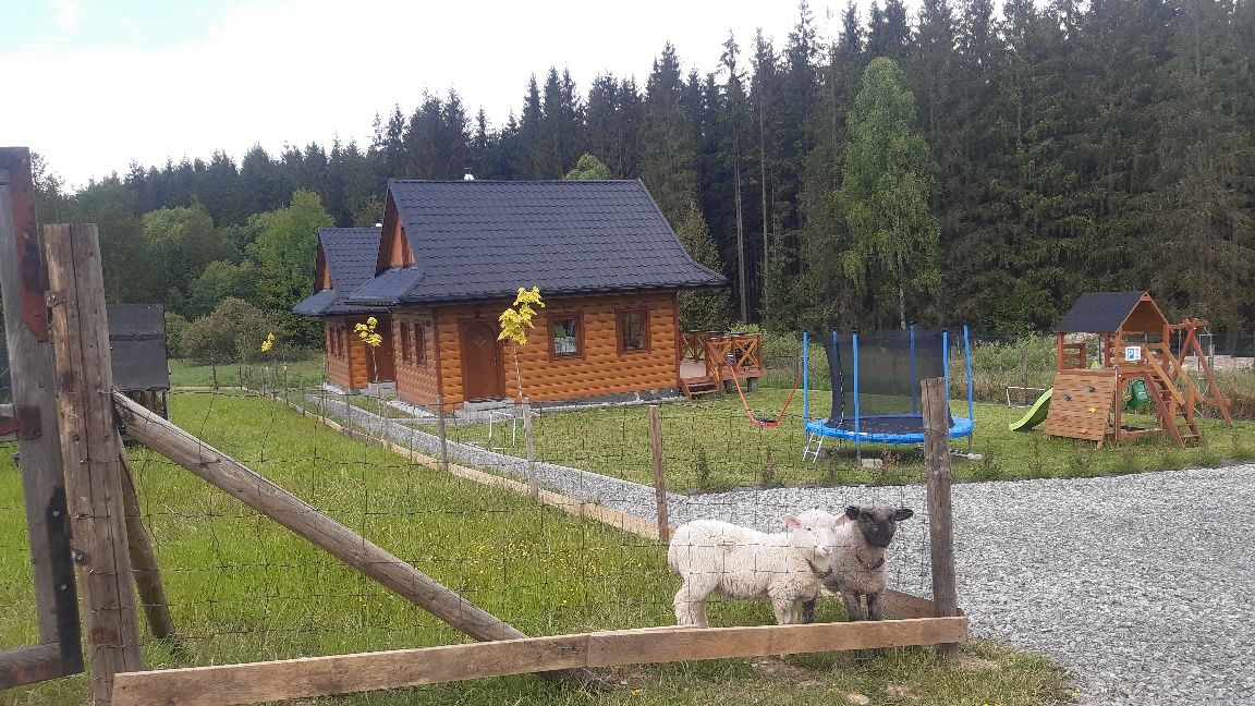 Domek na wynajem "Domki w Dolinie Olzy Istebna"
