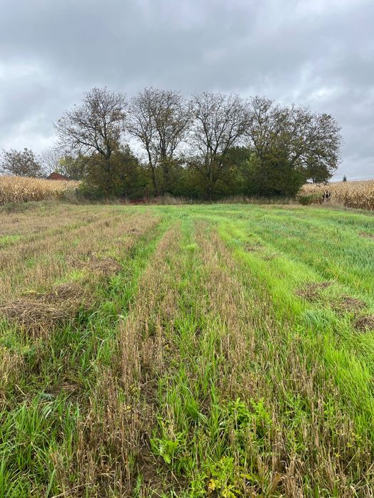 Sprzedam działkę 56 arów