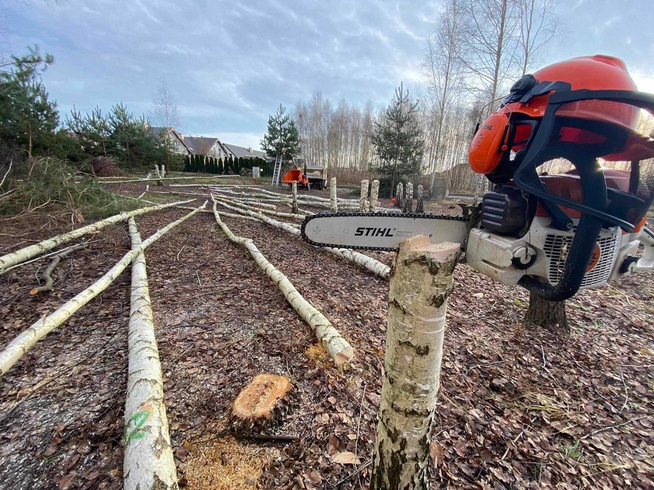 Wycinka i przycinka drzew, krzewów + rozdrabnianie gałęzi