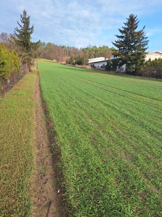 Działka Dymaczewo Stare. Okazja