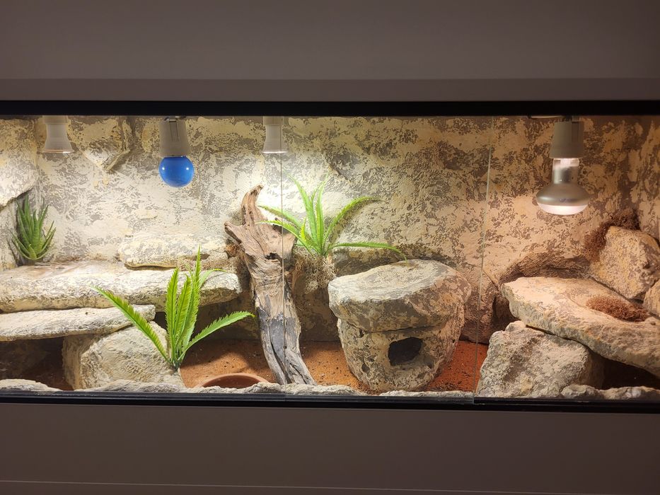 Terrarium dla gekona