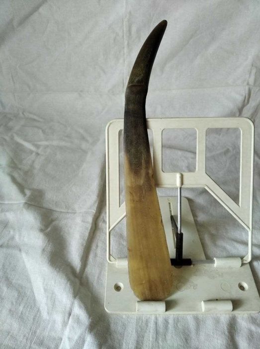 Нож для резки бумаги, конвертов, кость, 1916 антиквариат ручная работа