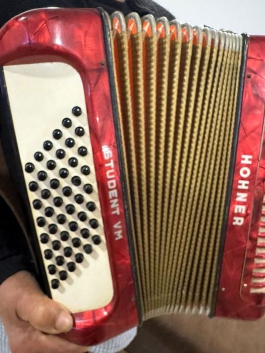 Vendo 2 acordeoes