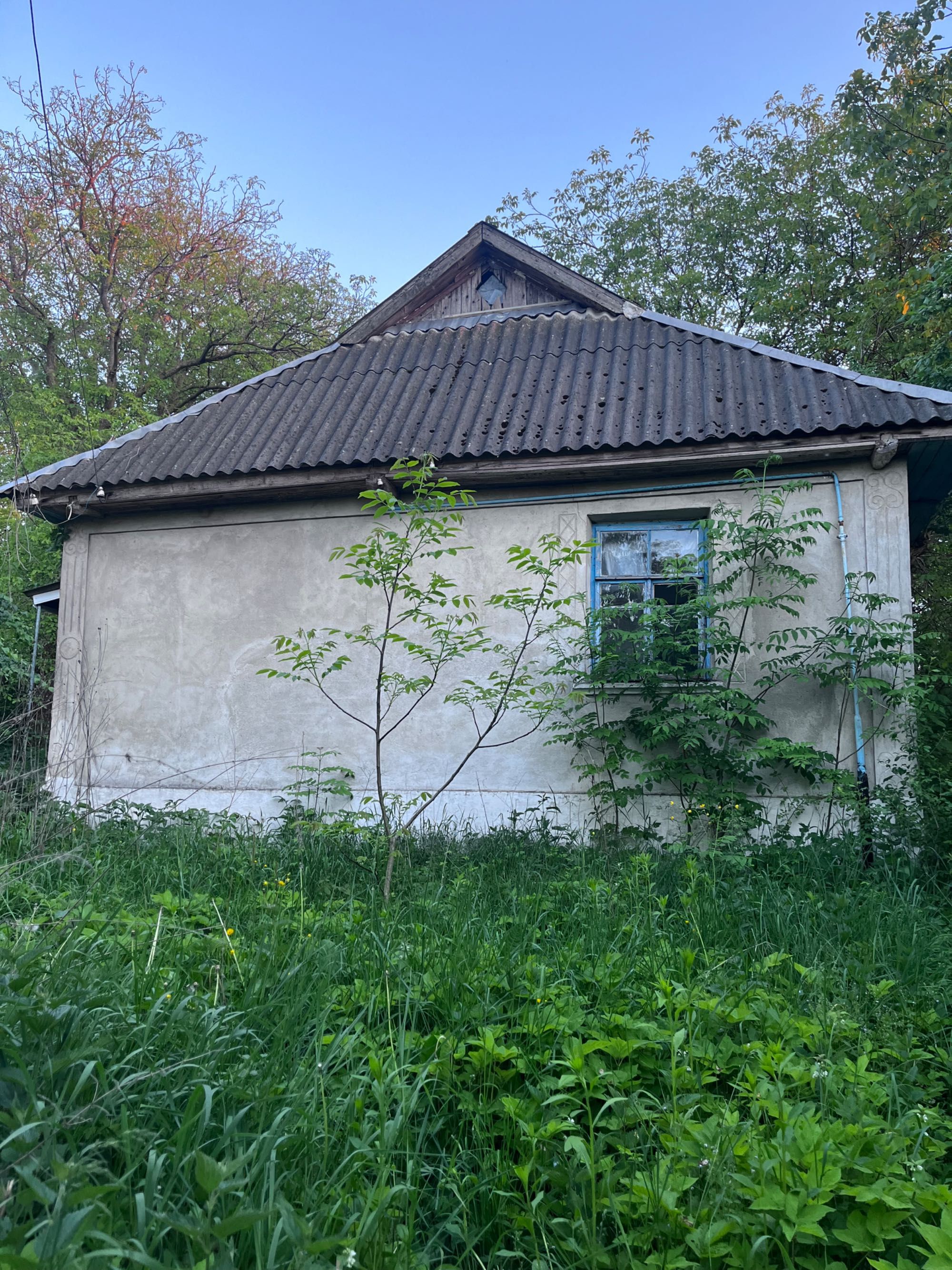 Продам будинок в селі Яворівці.