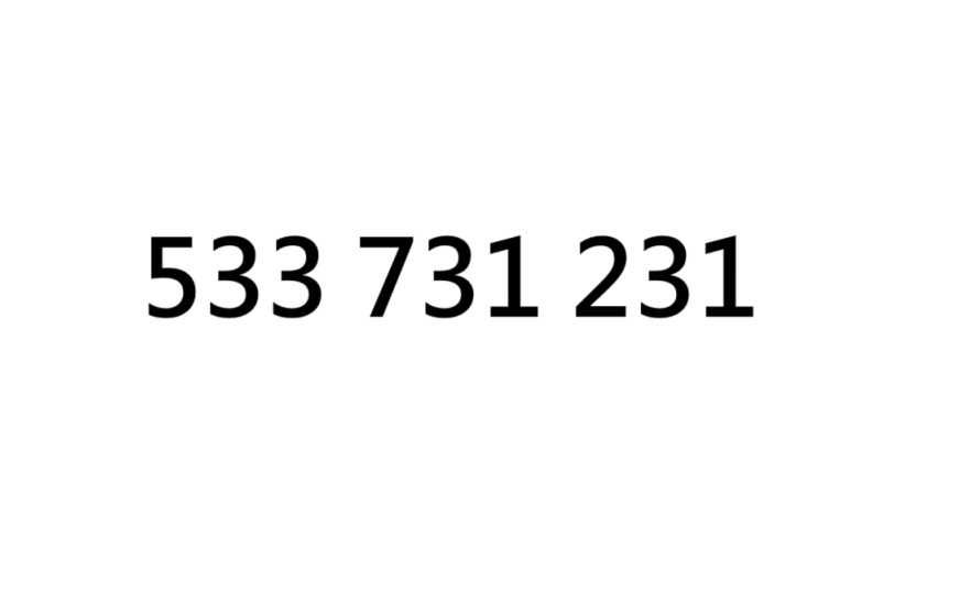 ZŁOTY NUMER 533.731.231