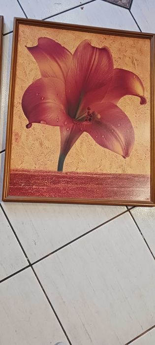 Komplet dwóch obrazów ściennych