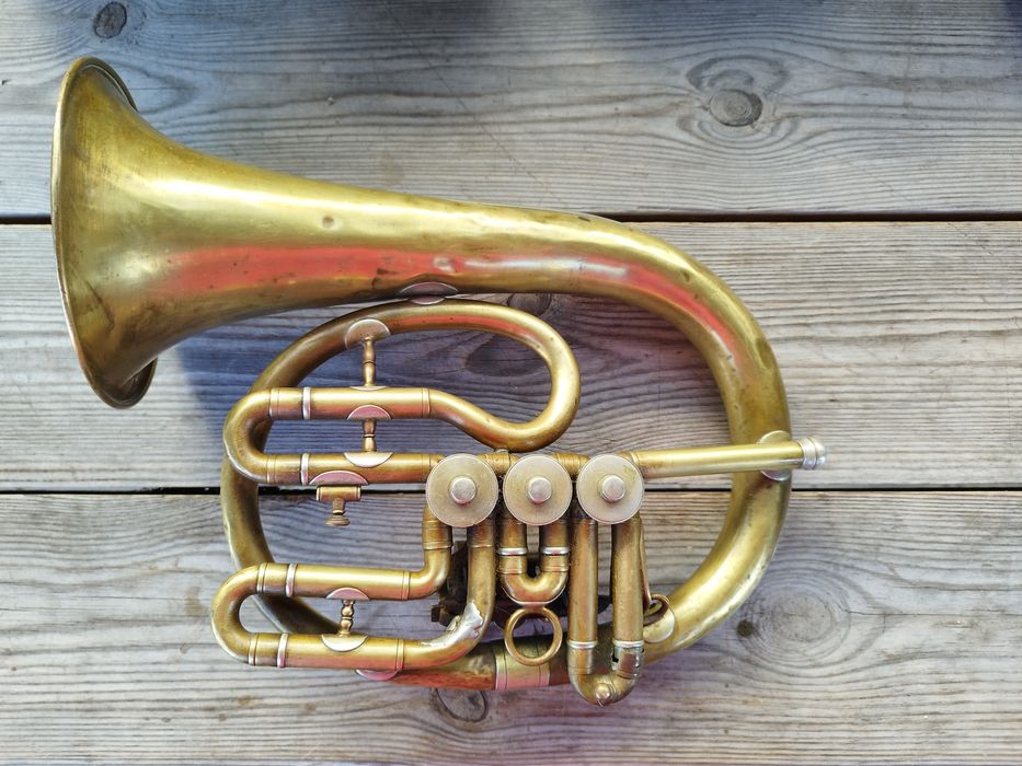 Sprzedam kolekcjonerski instrument