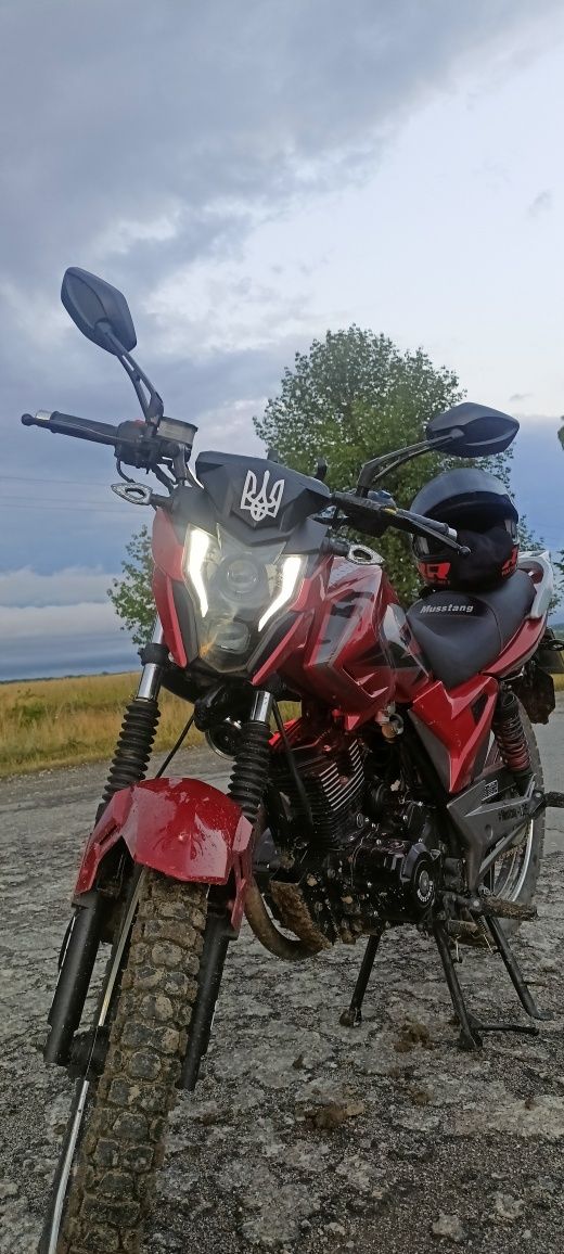 Мустанг регіон 200