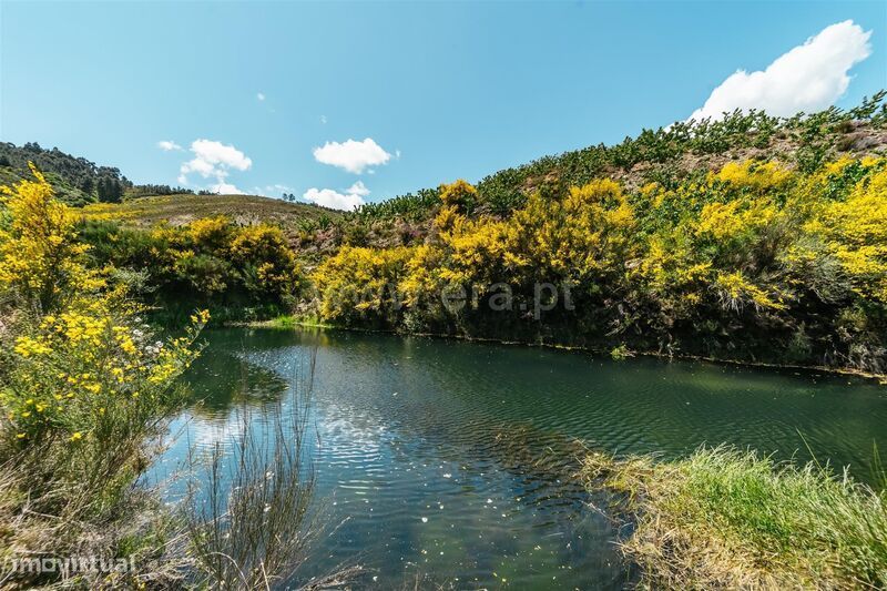 Quinta Estúdio / Fundão, Castelejo