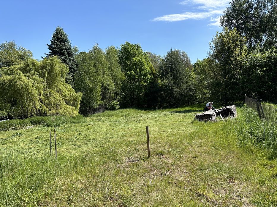 Działa Budowlana Rybnik Popielow z projektem przy lesie